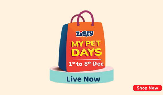 Shop All The Wishlisted Pet Products! Zigly My Pet Days Are Back!